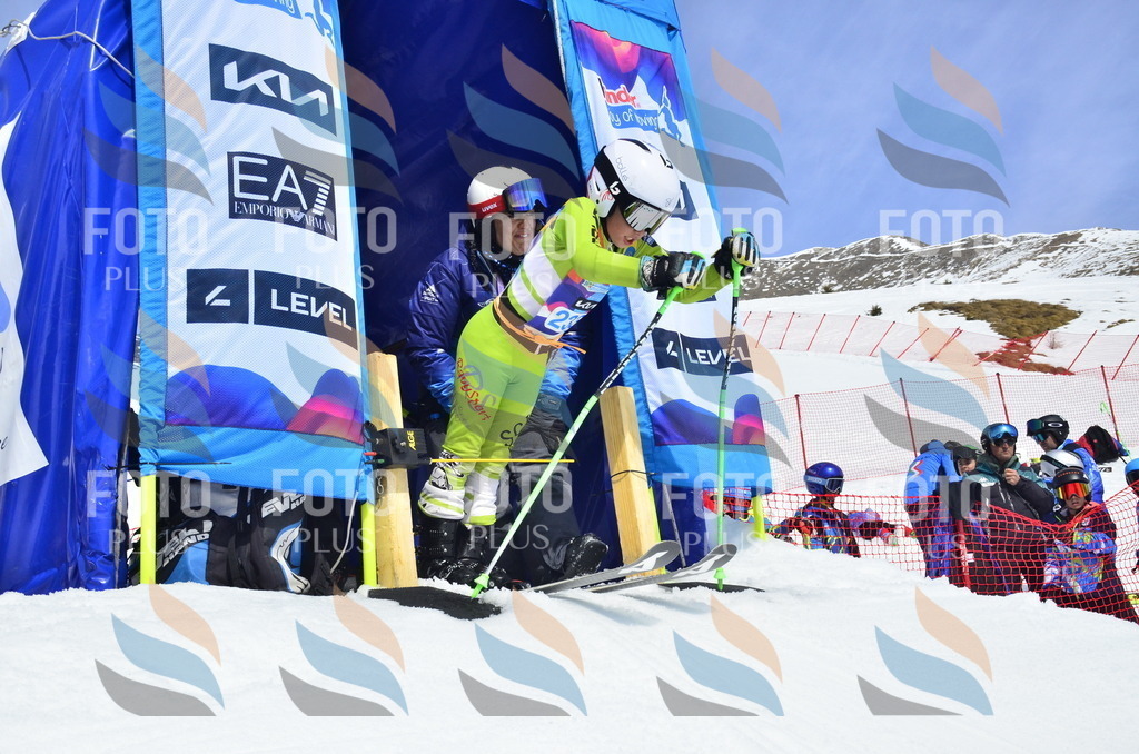 _ELE1658 | holidayphoto