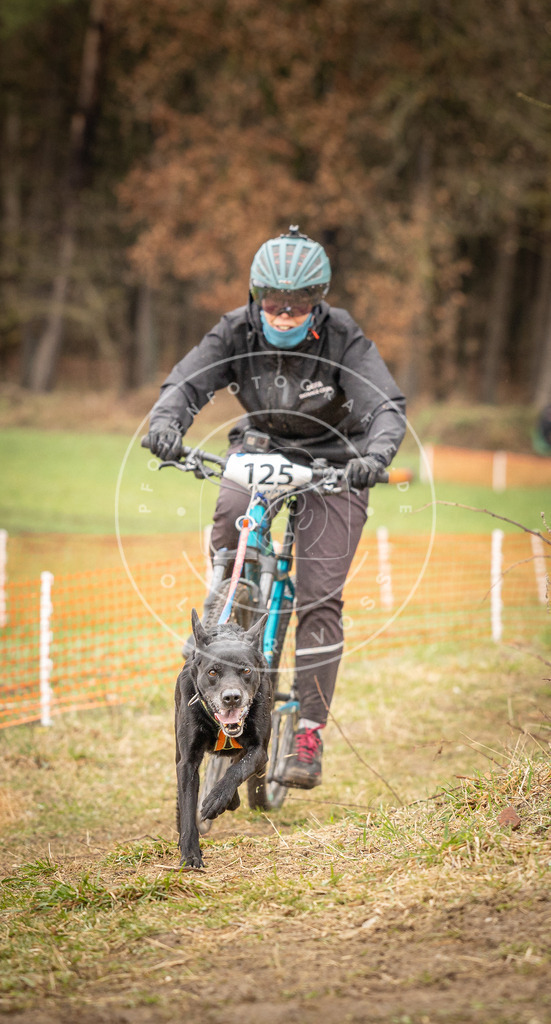 DV3A1162 | Hundefotografie, Tierfotograf, Pfotenfotografie, Fotoshooting Hund, Hunde Portrait, Hundesport, Hundeportraits, Heideshooting, Hunde, Sportfotograf, Hundefotograf, Turnierhundsport, THS,  - Realisiert mit Pictrs.com