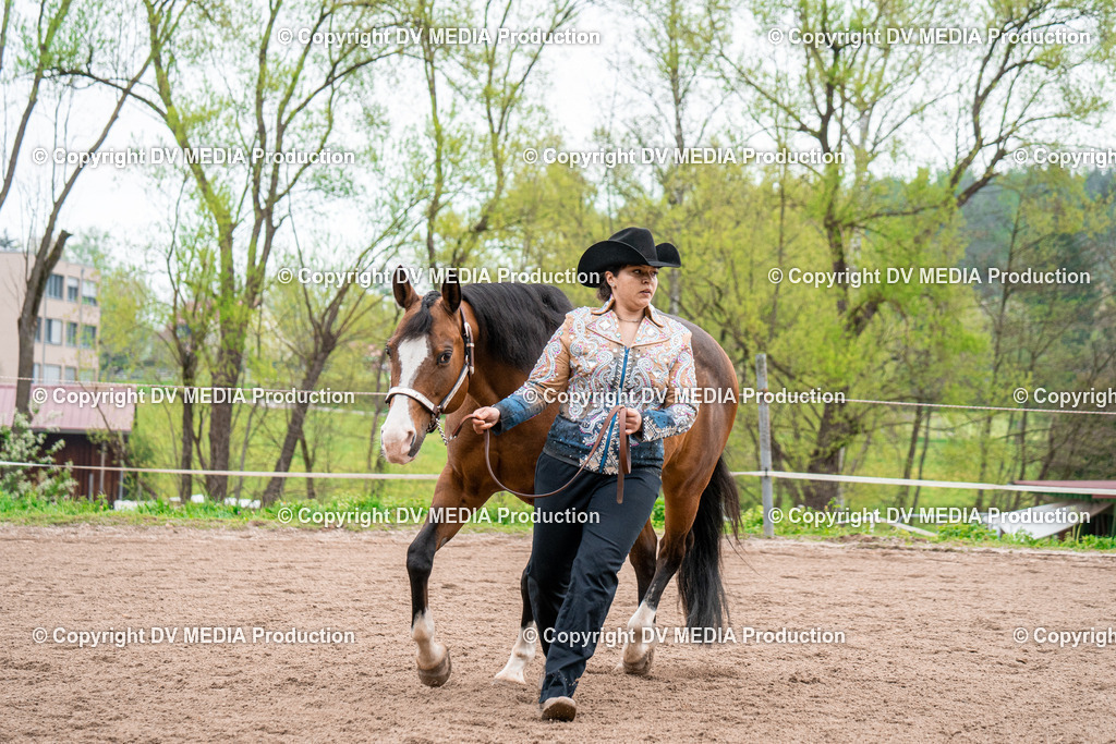 BA300160 | dv-media-shop - Realisiert mit Pictrs.com