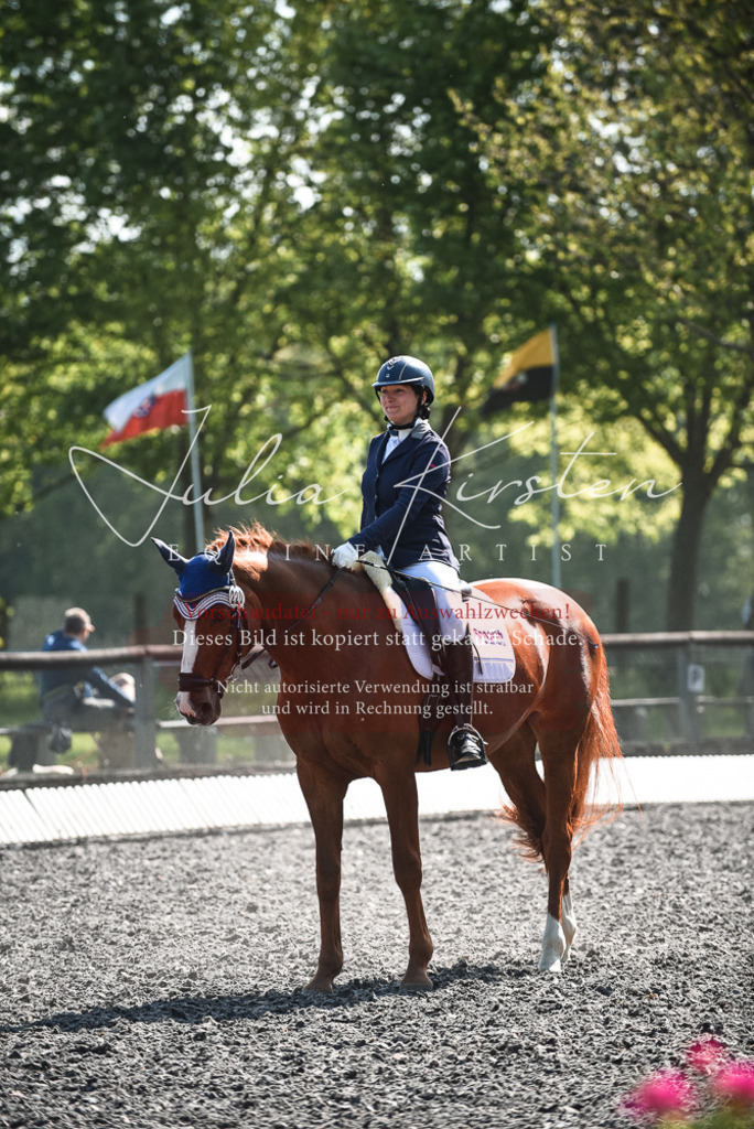 DSC_8838 | Pferde- und Turnierfotografie in Westsachsen. Pferdeportraits, Auftragszeichnungen und intuitive Kunst.