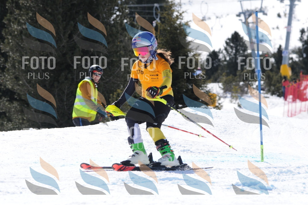 C9256 | holidayphoto