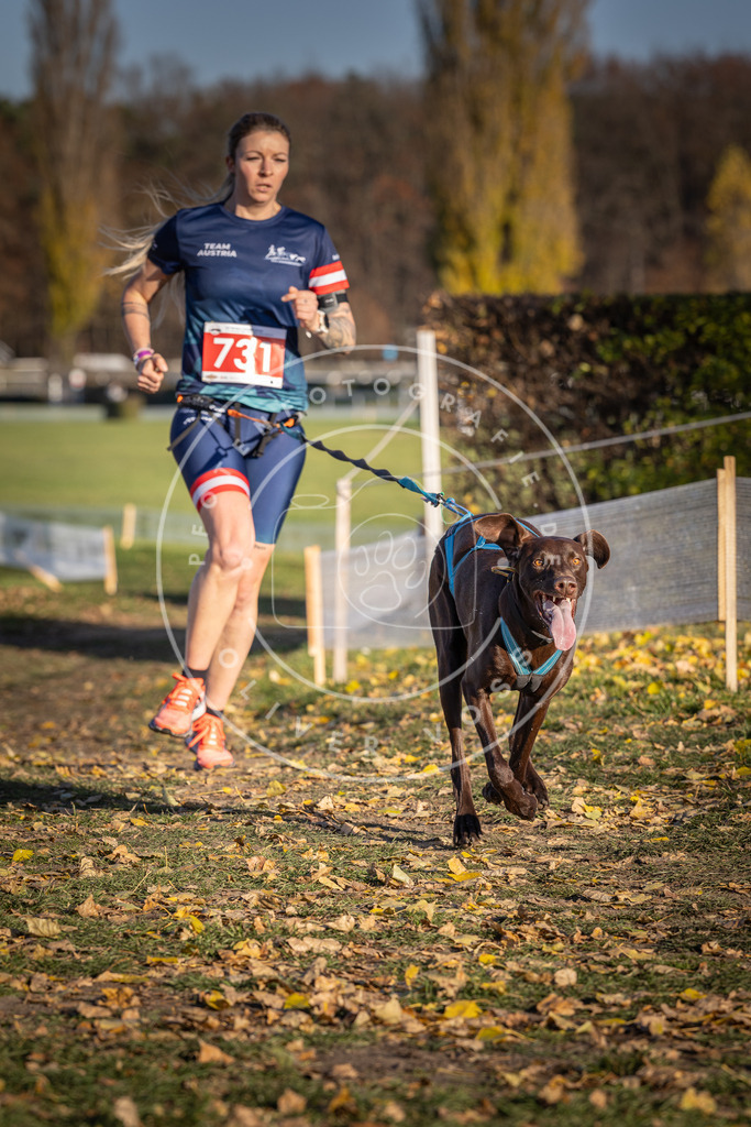 CaniXpix_DV3A2066 | Hundefotografie, Tierfotograf, Pfotenfotografie, Fotoshooting Hund, Hunde Portrait, Hundesport, Hundeportraits, Heideshooting, Hunde, Sportfotograf, Hundefotograf, Turnierhundsport, THS,  - Realisiert mit Pictrs.com