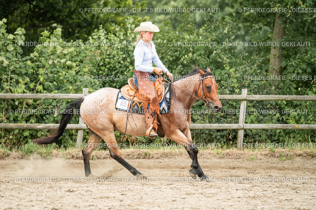 DSC04500 | Pferdegrafie