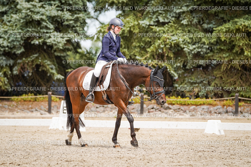 DSC04319 | Pferdegrafie