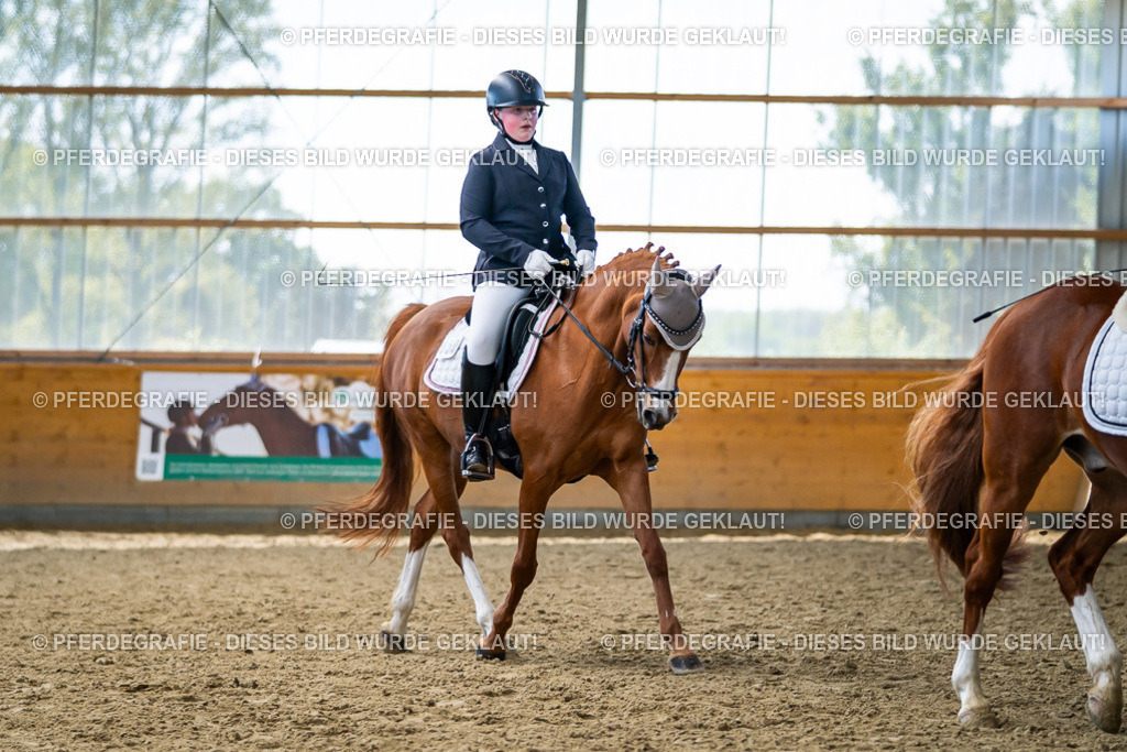 DSC05403 | Pferdegrafie