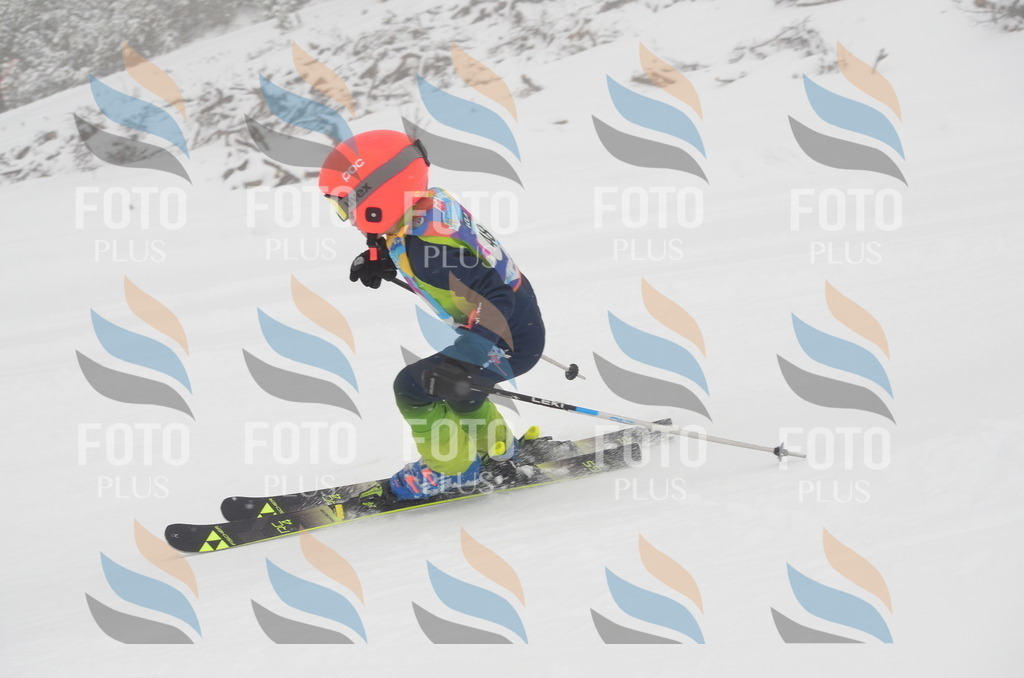 C0938 | holidayphoto