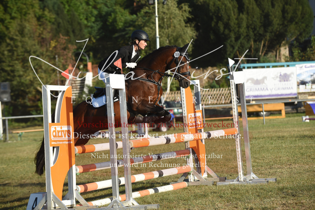 DSC_4927 | Pferde- und Turnierfotografie in Westsachsen. Pferdeportraits, Auftragszeichnungen und intuitive Kunst.