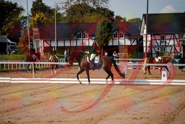 2026_10_03_Siefer-Hof_113443_Z63_20424298 | Professionelle Reitsport-, Turnier- und Eventfotografie von Robert Broda. Galerien mit ausgewählten und bearbeiteten Bildern direkt online ansehen und bestellen.