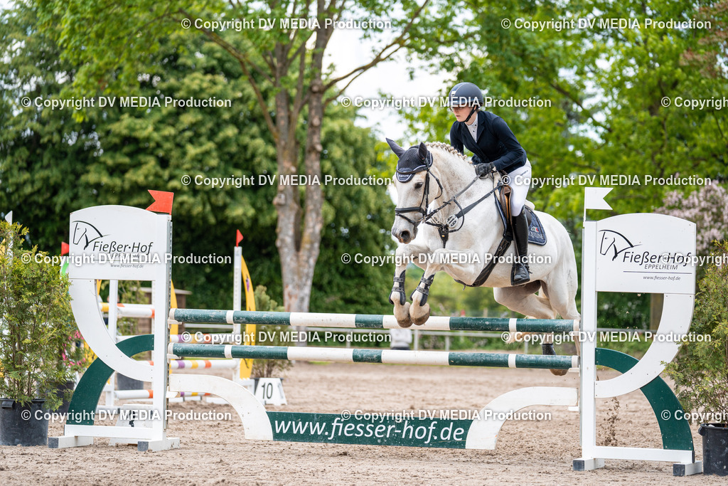 Eppelheim Tag 2-568 | dv-media-shop - Realisiert mit Pictrs.com