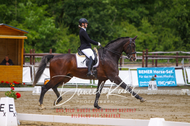 DKP40768 | Turniersportfotografie; Pferdefotografie; Dressurfotografie