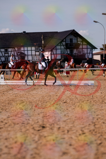 2026_10_03_Siefer-Hof_125521_Z81_44126553 | Professionelle Reitsport-, Turnier- und Eventfotografie von Robert Broda. Galerien mit ausgewählten und bearbeiteten Bildern direkt online ansehen und bestellen.
