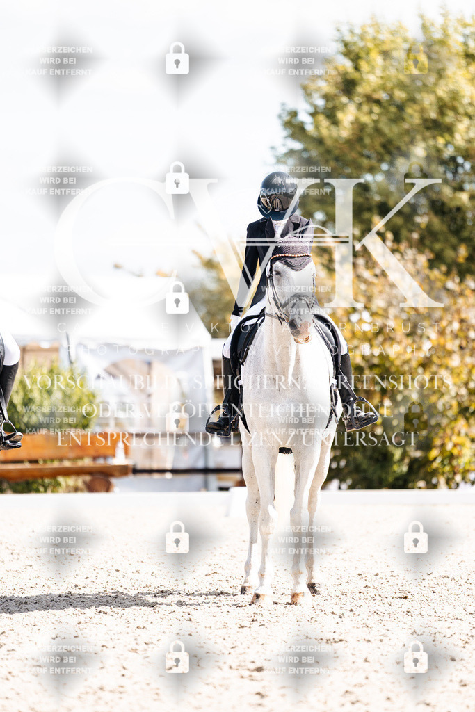 CK903008 | Turnierfotografie Pferdefotografie Trier Rheinland-Pfalz Pferdesport Reitsport Tierfotografie Sportfotografie Pferdevideo Pferdevideografie Equestrianvideography equestrianphotography  - Realisiert mit Pictrs.com