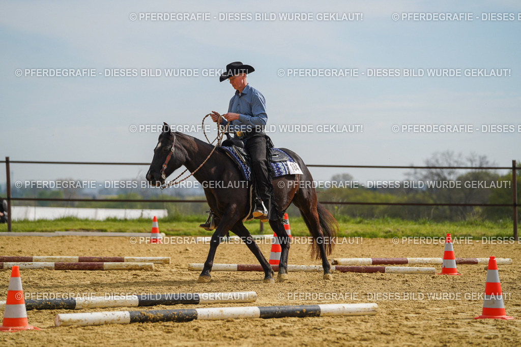 DSC02066 | Pferdegrafie