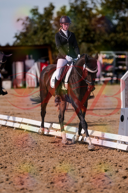 2026_10_03_Siefer-Hof_132519_Z81_75479688 | Professionelle Reitsport-, Turnier- und Eventfotografie von Robert Broda. Galerien mit ausgewählten und bearbeiteten Bildern direkt online ansehen und bestellen.