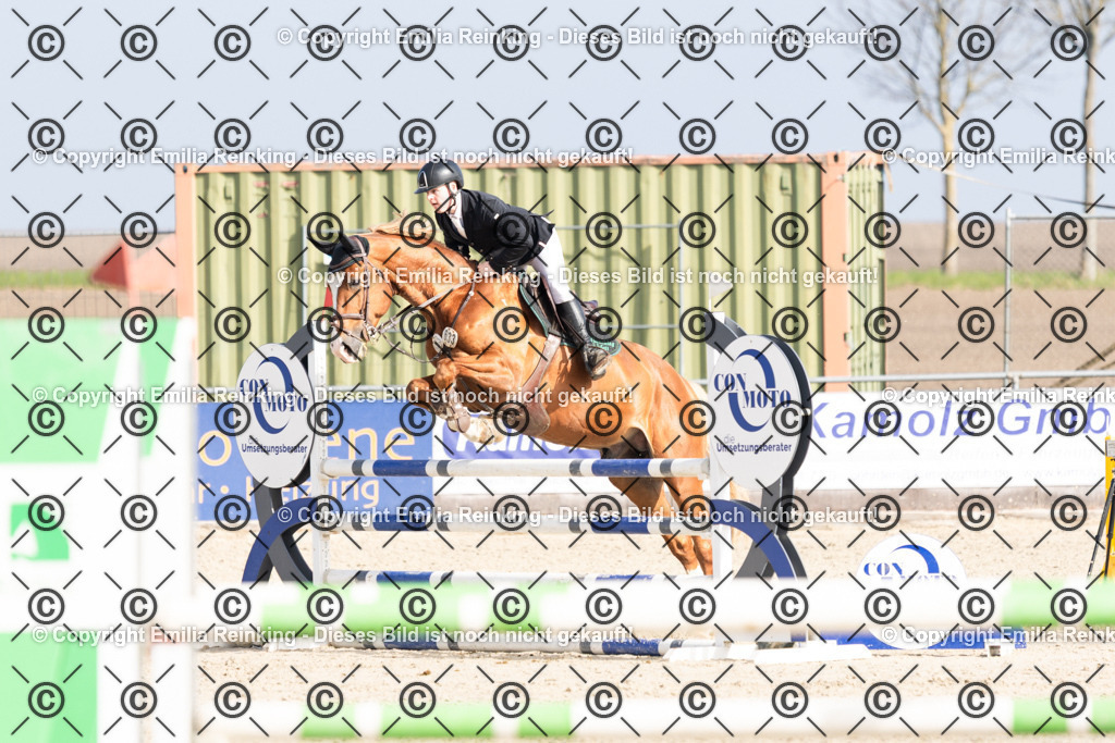 CL5A5225 | Emilia Reinking Fotografie - Realisiert mit Pictrs.com