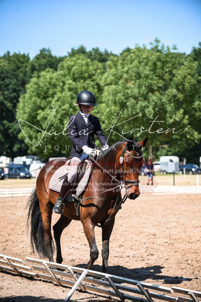 DSC_3329 | Pferde- und Turnierfotografie in Westsachsen. Pferdeportraits, Auftragszeichnungen und intuitive Kunst.