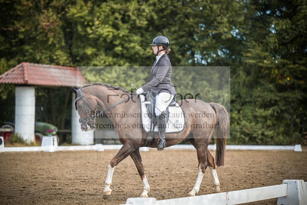DOS_1867 | Entdecke hochwertige Reitturnierfotos von Foto Oger. Professionell, emotional und authentisch – jetzt Lieblingsmomente im Shop bestellen.Deutschlandweite Turnierfotografie. - Realisiert mit Pictrs.com