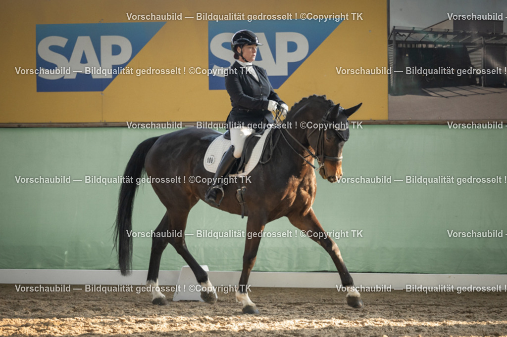 _D5A3211 | Emotionale Pferde- & People-Fotografie rund um Heidelberg, Leimen & Umgebung. Natürliche Fotos von Pferd, Mensch & Familie. Jetzt Termin sichern!