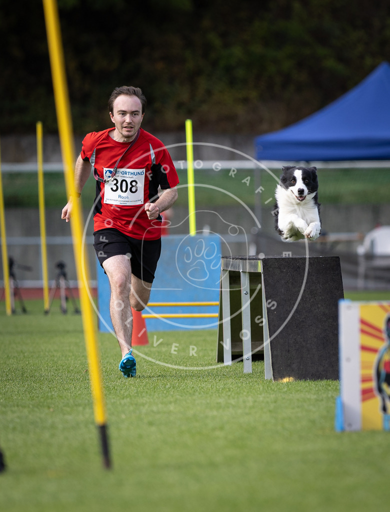 Pfotenfotografie_DV3A1428 | Hundefotografie, Tierfotograf, Pfotenfotografie, Fotoshooting Hund, Hunde Portrait, Hundesport, Hundeportraits, Heideshooting, Hunde, Sportfotograf, Hundefotograf, Turnierhundsport, THS,  - Realisiert mit Pictrs.com