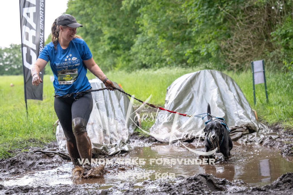 1225_ZZ92125 | kk-dogfotos