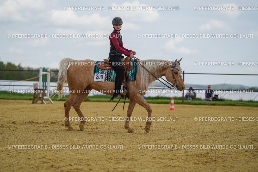 DSC05709 | Pferdegrafie