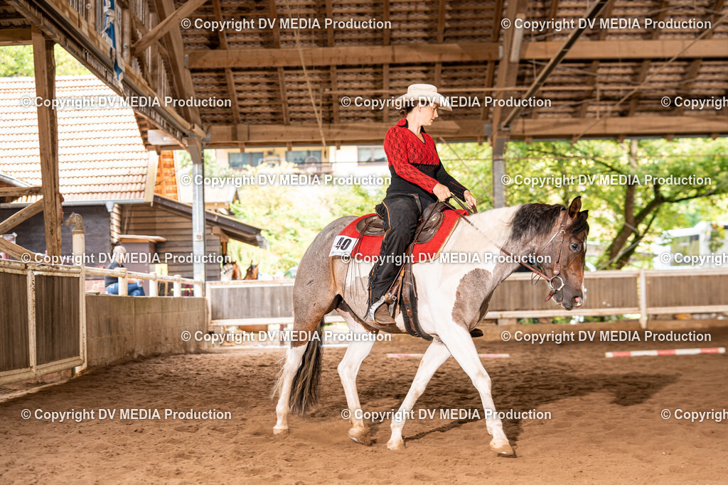 Erbach Tag 1-300 | dv-media-shop - Realisiert mit Pictrs.com