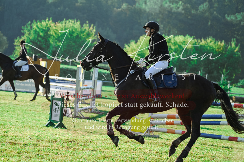 DSC_4331 | Pferde- und Turnierfotografie in Westsachsen. Pferdeportraits, Auftragszeichnungen und intuitive Kunst.