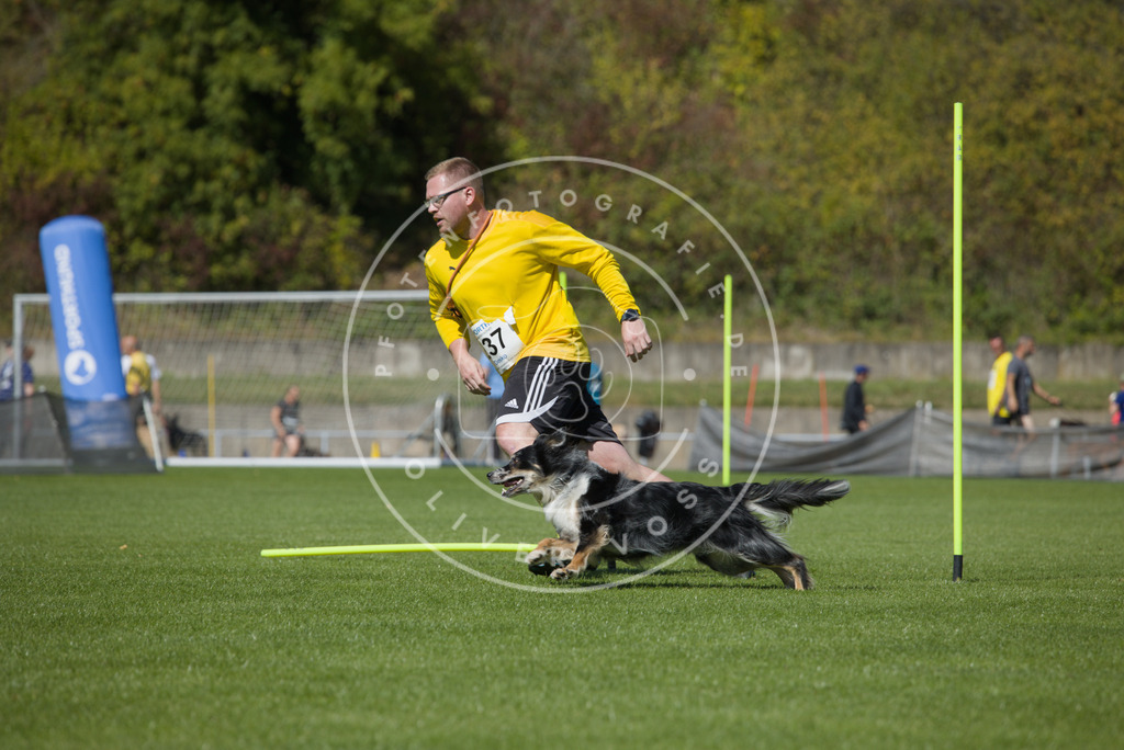 0L8A6110 | Hundefotografie, Tierfotograf, Pfotenfotografie, Fotoshooting Hund, Hunde Portrait, Hundesport, Hundeportraits, Heideshooting, Hunde, Sportfotograf, Hundefotograf, Turnierhundsport, THS,  - Realisiert mit Pictrs.com