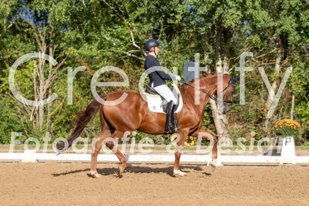 IMG_4706 | Creatify Fotografie