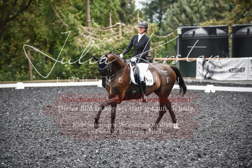 DSC_4862 | Pferde- und Turnierfotografie in Westsachsen. Pferdeportraits, Auftragszeichnungen und intuitive Kunst.