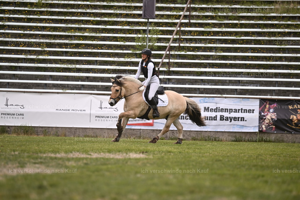 PI26_Show_Sara_Landvogt_226_0916.JPG | working equitationturnier fotograf videograf stoibphotography marixx film working equitation deutschland reitsport turnierfotografie eventfotografie equestrian events
