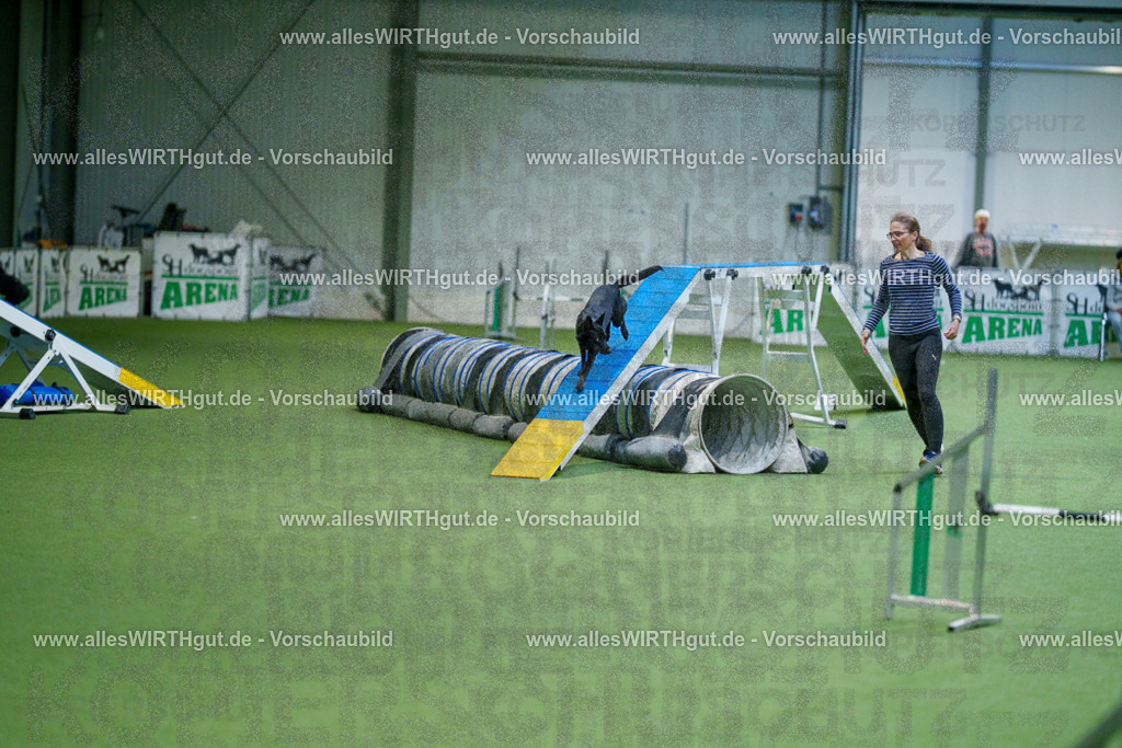 @allesWIRTHgut_Tierfotografie - www.allesWIRTHgut.de - 2604250812-7R505702 | Professionelle Tierfotografie in Mönchengladbach von Daniel Wirth (allesWIRTHgut). Liebevolle & natürliche Bilder von Hunden & Katzen für unvergessliche Erinnerungen.