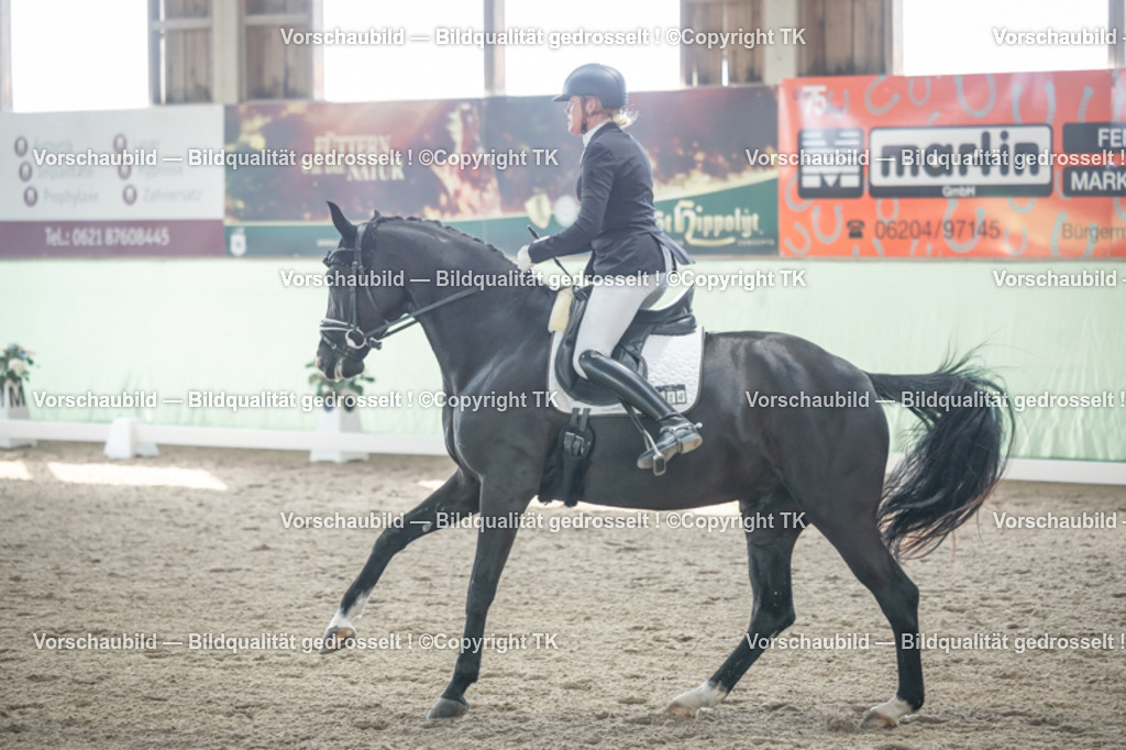 _D5A0740 | Emotionale Pferde- & People-Fotografie rund um Heidelberg, Leimen & Umgebung. Natürliche Fotos von Pferd, Mensch & Familie. Jetzt Termin sichern!