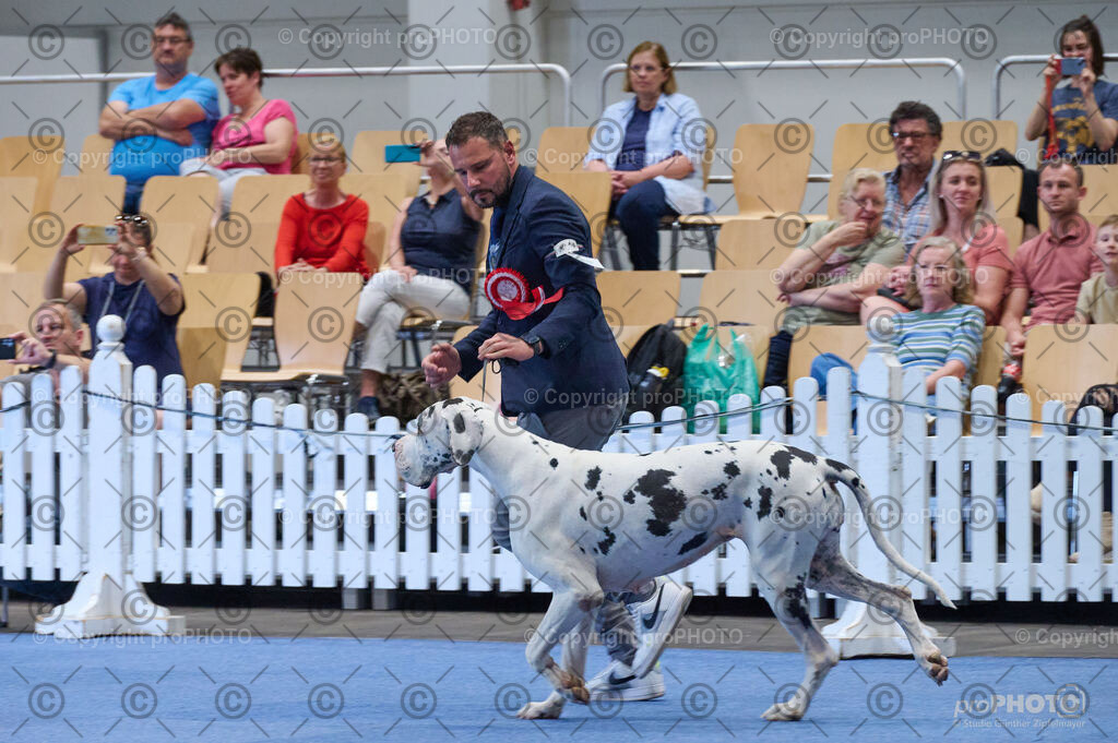 202406_ÖKV-IHA-Tulln24_DSC_4950 | proPHOTO - Realisiert mit Pictrs.com