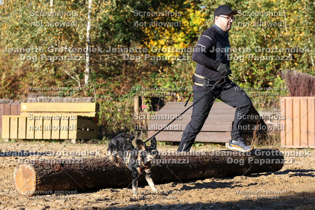 Dog Paparazzi - Strongdog 10-25-1443 | Dog Paparazzi Jeanette Grottendiek Fotografie & Videografie - Realisiert mit Pictrs.com