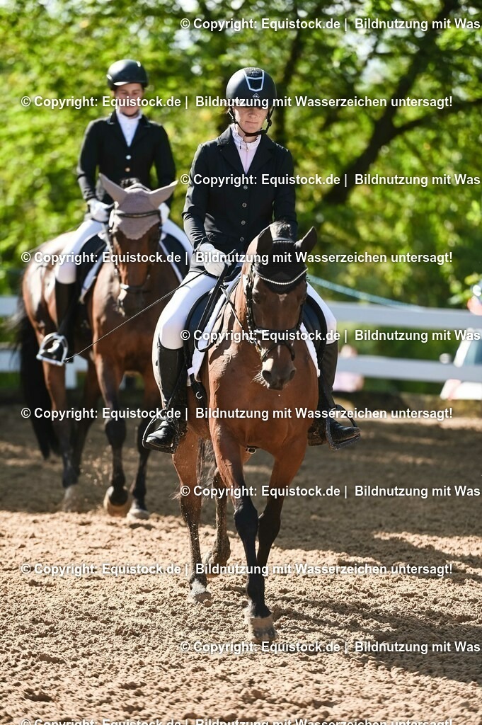 20230716_04_Dressurreiterprüfung Kl.A_0104 | equistock