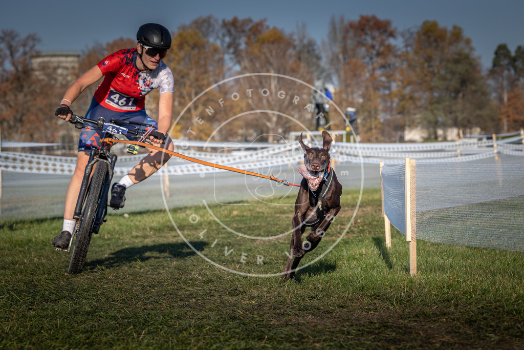 CaniXpix_0L8A4503 | Hundefotografie, Tierfotograf, Pfotenfotografie, Fotoshooting Hund, Hunde Portrait, Hundesport, Hundeportraits, Heideshooting, Hunde, Sportfotograf, Hundefotograf, Turnierhundsport, THS,  - Realisiert mit Pictrs.com