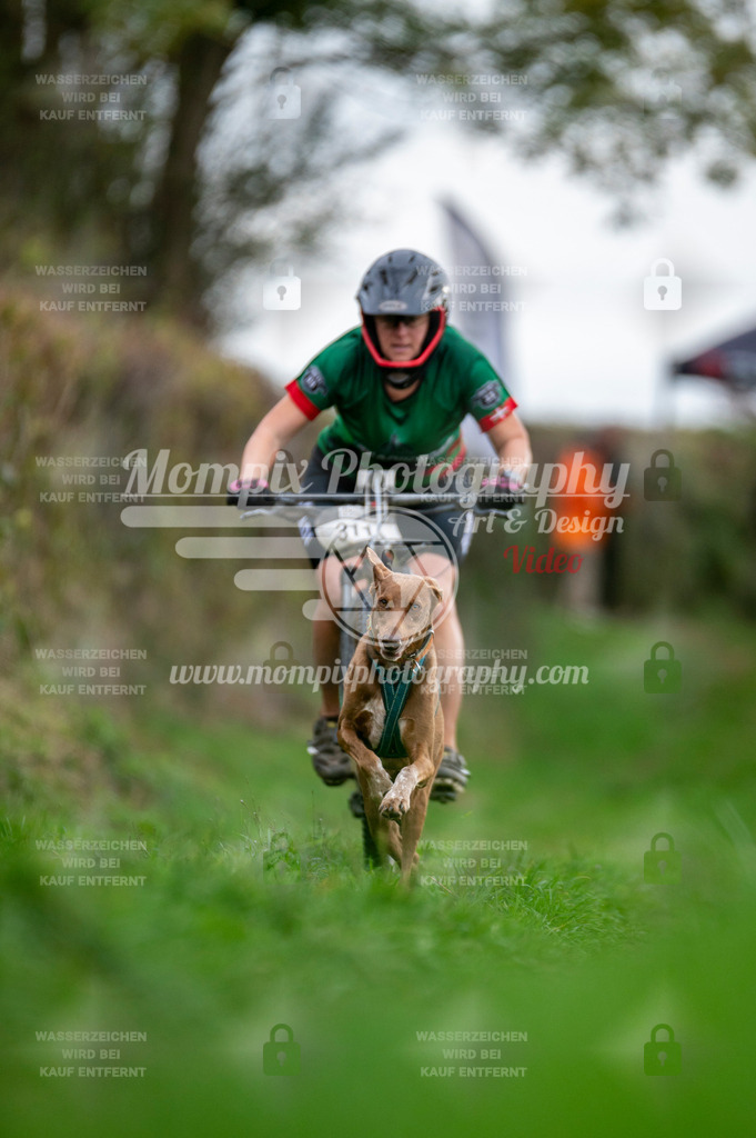 TSB_2023_E8_Bike-84 | PayLife