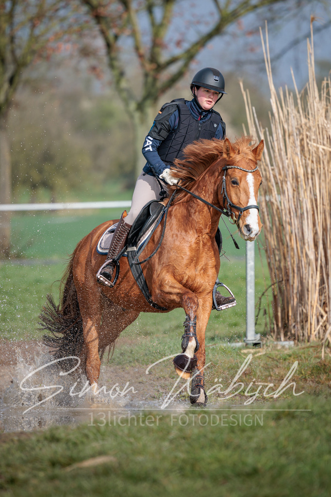 20260329-_3LI3381 | Tierfotografie Pferde, Hunde, Katzen, Haustiere.
Turnierfotografie Reitturniere, Reiten, Springreiten, Dressur in Hanau, dem Main-Kinzig-Kreis und dem Rhein-Main- Gebiet um Frankfurt