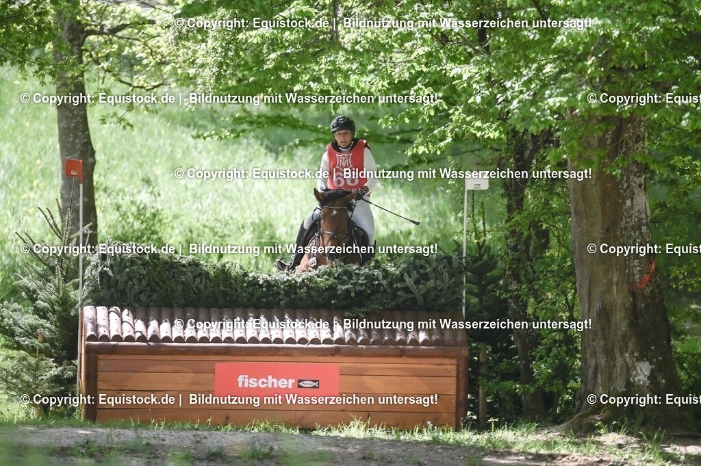 20250517_CCI2_Gelände_1861 | Foto: Thomas Hartig