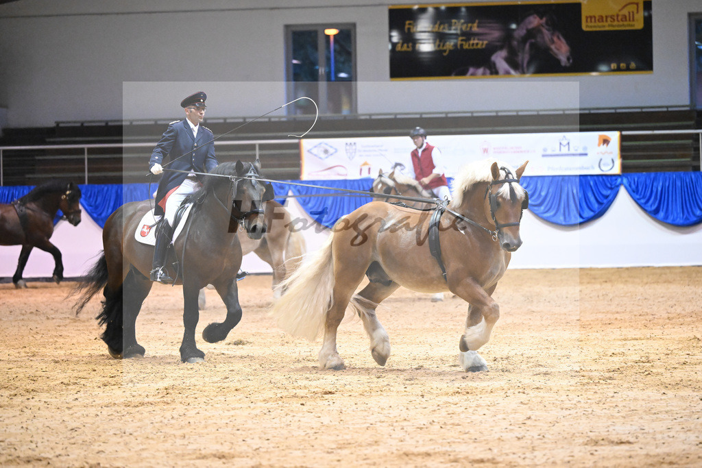 Schauprogramm_54222463 | hf-fotografie - Realisiert mit Pictrs.com