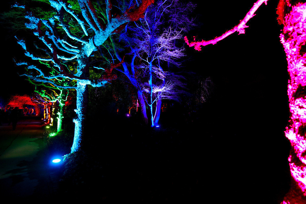 Parkleuchten_GrugaEssen24_30 | Bildergalerie von Sport-Ereignissen aber auch von weiteren spannenden Dingen - nicht nur vom Niederrhein. In Anlehnung an den bekannten Spruch von Hanns Dieter Hüsch heißt das Motto: "Niederrhein ist überall".  - Realisiert mit Pictrs.com