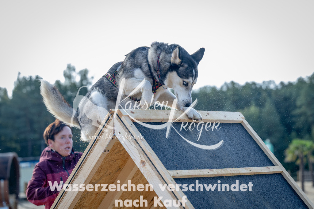 0951_ZZ92918 | kk-dogfotos