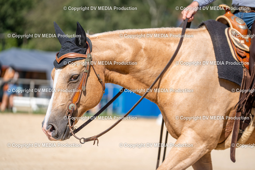 LM Heiligenwald Tag 1-2442 | dv-media-shop - Realisiert mit Pictrs.com