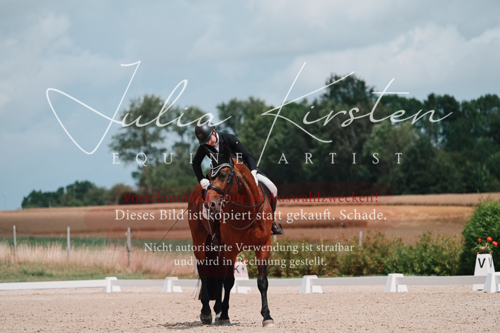 DSC_4396 | Pferde- und Turnierfotografie in Westsachsen. Pferdeportraits, Auftragszeichnungen und intuitive Kunst.