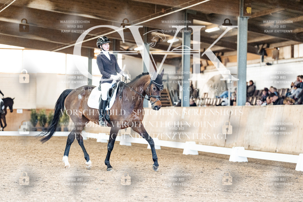 CK909271 | Turnierfotografie Pferdefotografie Trier Rheinland-Pfalz Pferdesport Reitsport Tierfotografie Sportfotografie Pferdevideo Pferdevideografie Equestrianvideography equestrianphotography  - Realisiert mit Pictrs.com