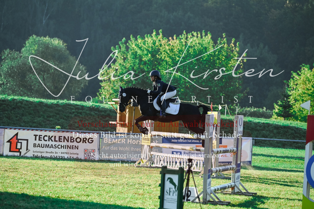 DSC_4072 | Pferde- und Turnierfotografie in Westsachsen. Pferdeportraits, Auftragszeichnungen und intuitive Kunst.