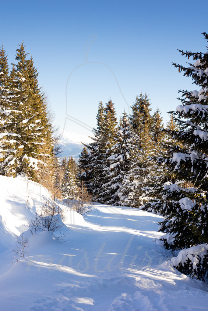 Winterzauber Aineck | Bei Veröffentlichung des Bildes ist eine Namensnennung wie folgt erforderlich: 
Foto: Mostdirn Irmgard Wieser
 - Realisiert mit Pictrs.com