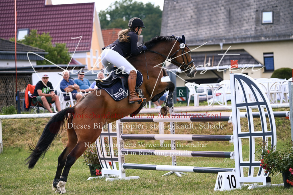 DSC_0920 | Pferde- und Turnierfotografie in Westsachsen. Pferdeportraits, Auftragszeichnungen und intuitive Kunst.