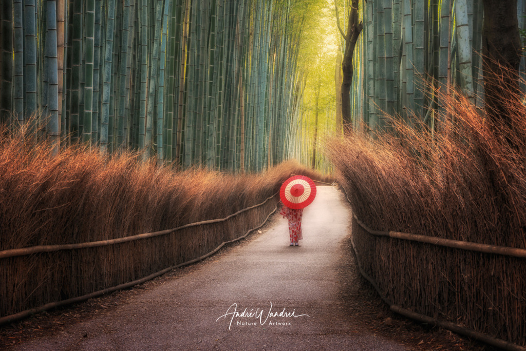 Morgenspaziergang im Bambuswald | Andre Wandrei - Nature Artworx - Realisiert mit Pictrs.com